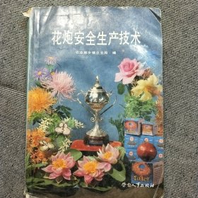 花炮安全生产技术