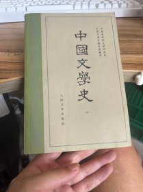中国文学史 一