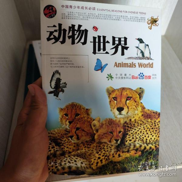 动物世界