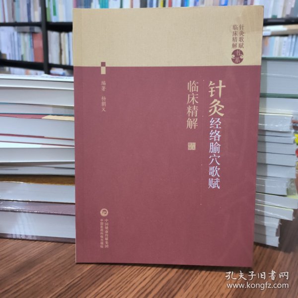 针灸经络穴歌赋临床精解