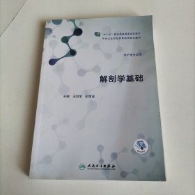 解剖学基础（教考融合）