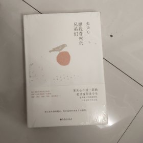 想我眷村的兄弟们