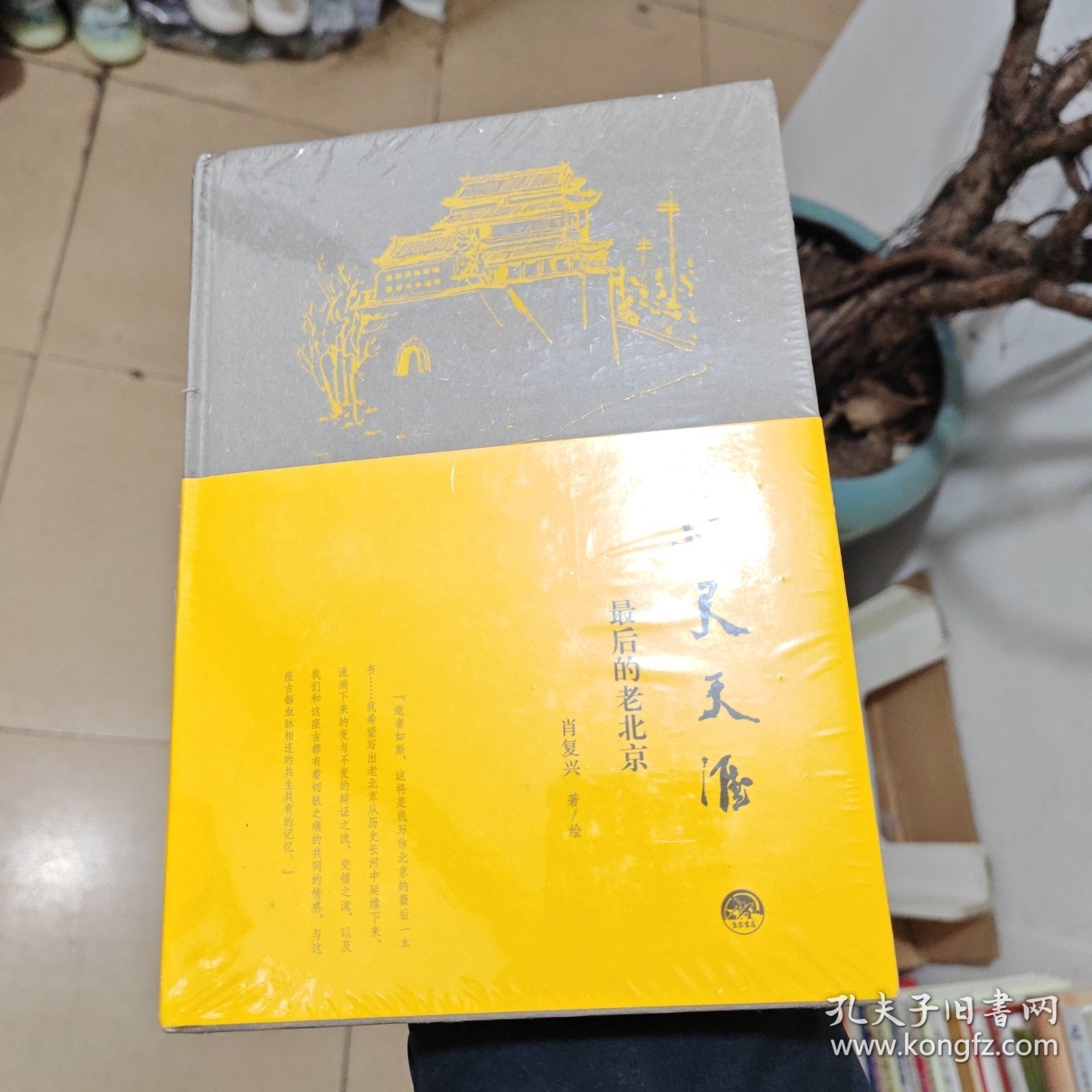 咫尺天涯：最后的老北京