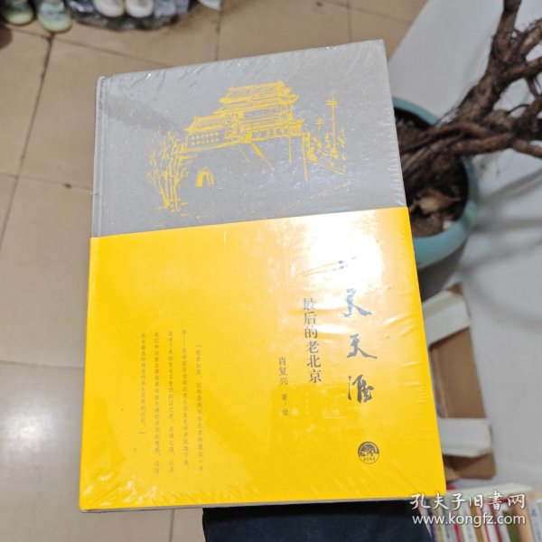 咫尺天涯:最后的老北京