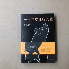 一只特立独行的猪
