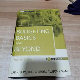 Budgeting Basics and Beyond (Wiley Corporate F&A)