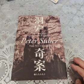 洞穴奇案 法哲学专业领域寓言式的经典文献，优秀跨学科通识教育的理想读本