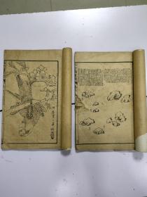 《 芥子园画传 》2册合售，民国线装本