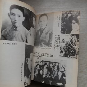 傅抱石传，精装