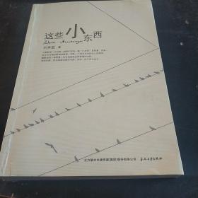 這些小東西(16開(kāi))