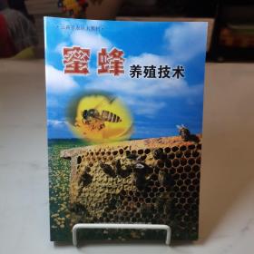 蜜蜂养殖技术