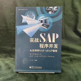 实战SAP程序开发：从实例学SAP ABAP编程