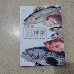 菜市场鱼图鉴/自然观察丛书