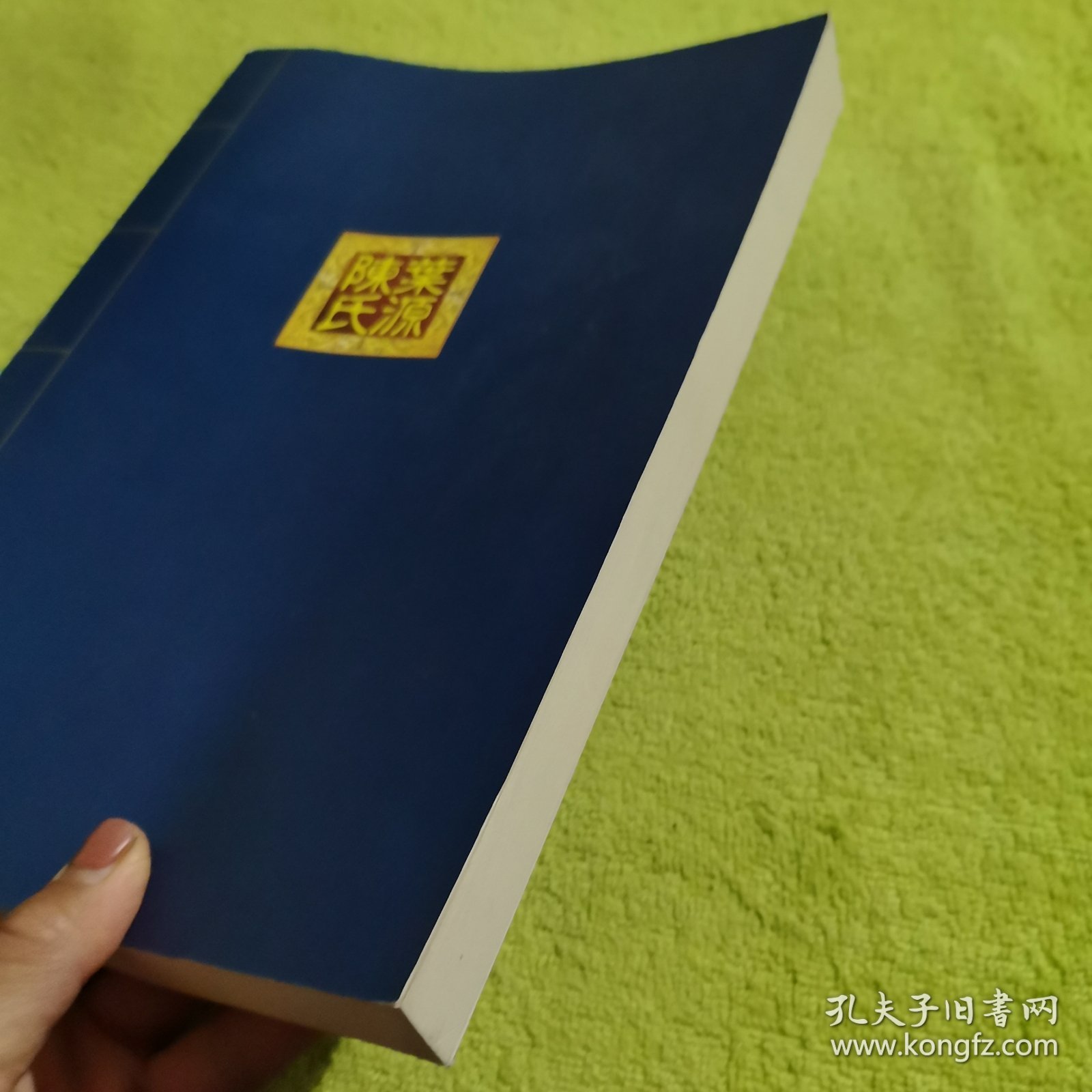 唐昌叶源陈氏续修宗谱（卷六）