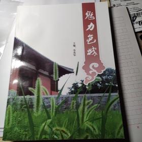 魅力龟城