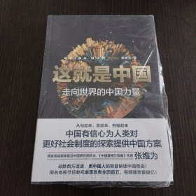 这就是中国:走向世界的中国力量
