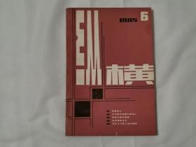 1985年纵横  第6期