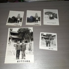 老照片五张(有重复如图)