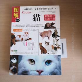 猫：爱猫养护实用手册