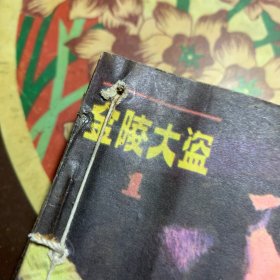 金陵大盗(5册合订)