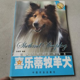 喜乐蒂牧羊犬