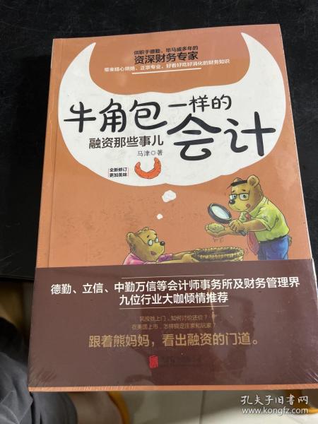 牛角包一样的会计：融资那些事儿