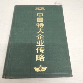 中国特大企业传略