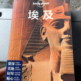 孤独星球Lonely Planet旅行指南系列：埃及