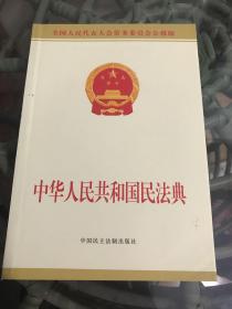 中华人民共和国民法典附草案说明32开