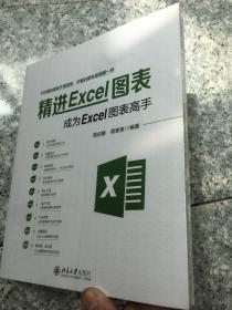 精进Excel图表成为Excel图表高手  原版全新