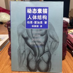 动态素描人体结构