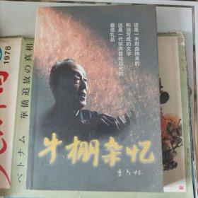 牛棚杂忆