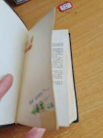 新编小小英汉词典