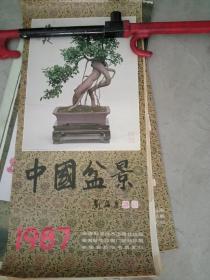 1987年挂历——中国盆景