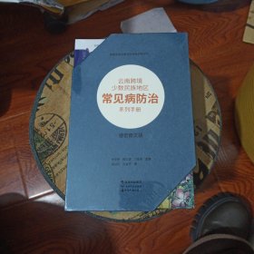 #云南跨境少数民族地区常见病防治系列手册(德宏傣文版）（全8册）