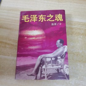 毛泽东之魂