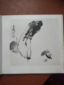 王雪涛画集