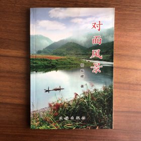 对面风景