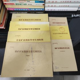 锡矿床勘探类型实例附图，钨矿床勘探类型实例附图，岩金矿床勘探类型实例附图，铁矿矿床勘探类型实例附图，钨矿床勘探类型实例，岩金矿床勘探类型实例，锡矿末勘探类型实例【共7本合售】