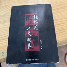 杨德茂与大成拳