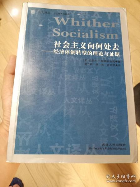 社会主义向何处去：经济体制转型的理论与证据