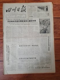 四川日报1965.7.19
