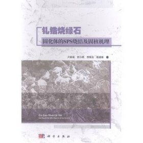 钆锆烧绿石固化体的SPS烧结及固核机理卢喜瑞