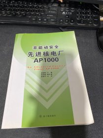 非能动安全先进核电厂AP1000