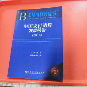 支付清算蓝皮书：中国支付清算发展报告（2013版）【正版现货】