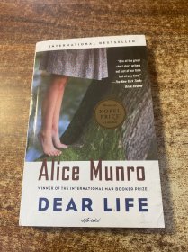 Dear Life：Stories