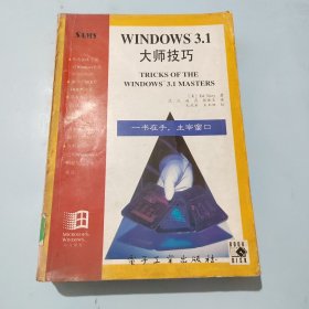 Windows 3.1大师技巧