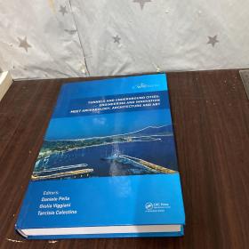 Tunnels and Underground Cities. Engineering and Innovation Meet Archaeology, Architecture and Art: Volume 8: Public Communication and Awareness / Risk