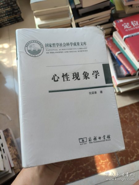 心性现象学(国家哲学社会科学成果文库)