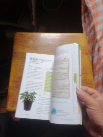 38 精油全书：芳香疗法使用小百科